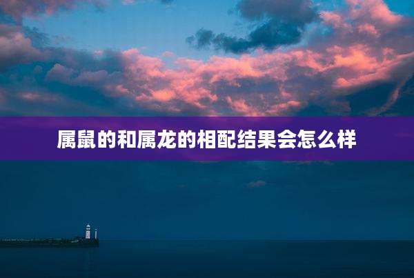 属鼠的和属龙的相配结果会怎么样