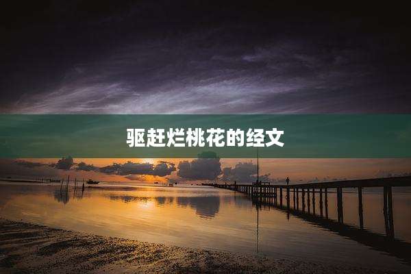 驱赶烂桃花的经文