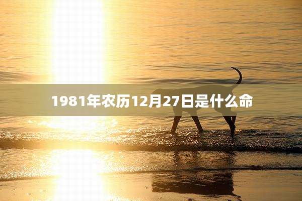1981年农历12月27日是什么命
