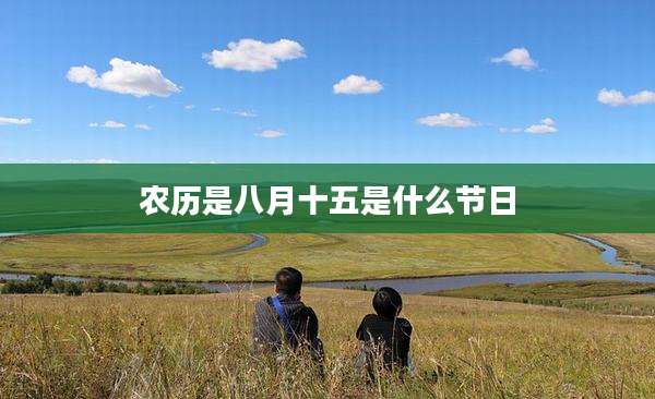 农历是八月十五是什么节日