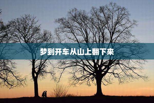 梦到开车从山上翻下来