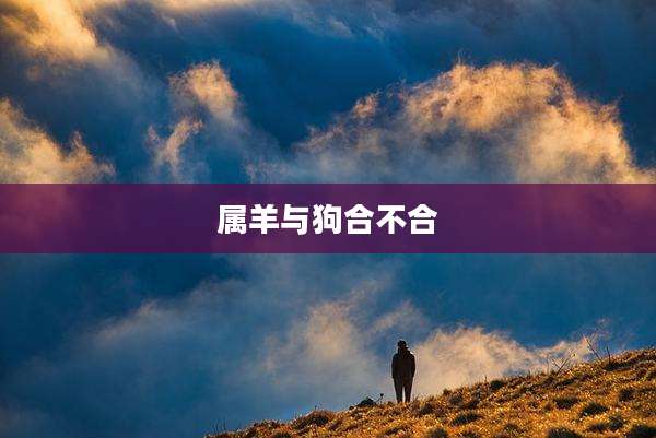 属羊与狗合不合
