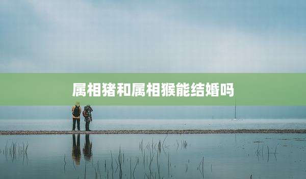 属相猪和属相猴能结婚吗