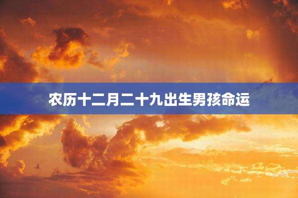 农历十二月二十九出生男孩命运