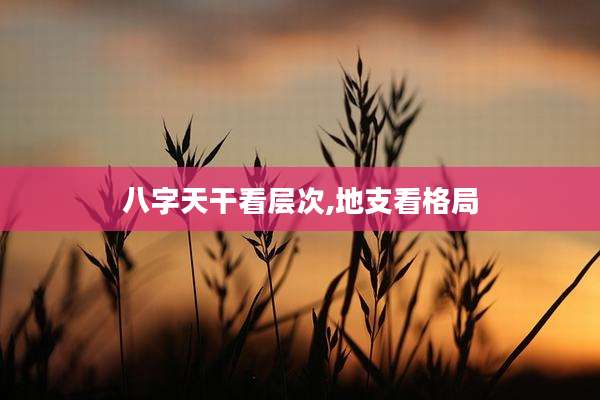 八字天干看层次,地支看格局
