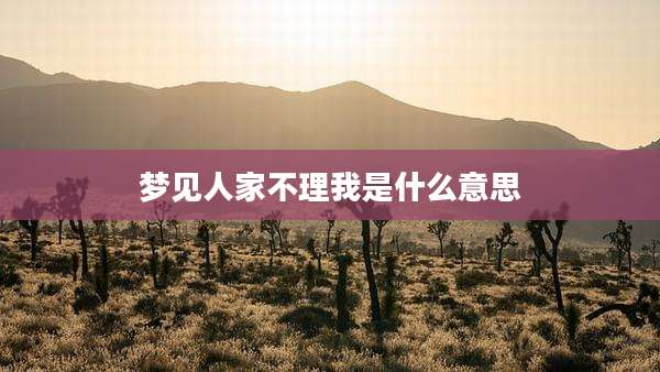 梦见人家不理我是什么意思