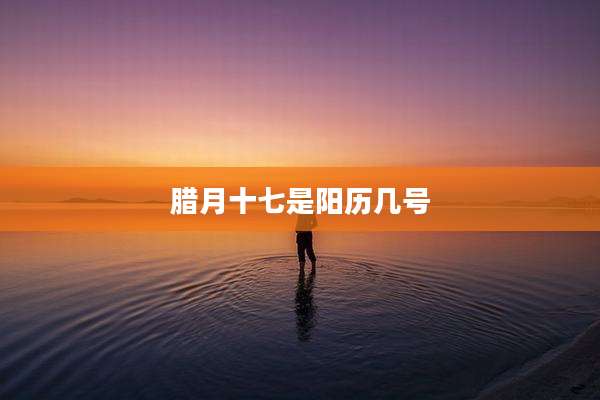 腊月十七是阳历几号