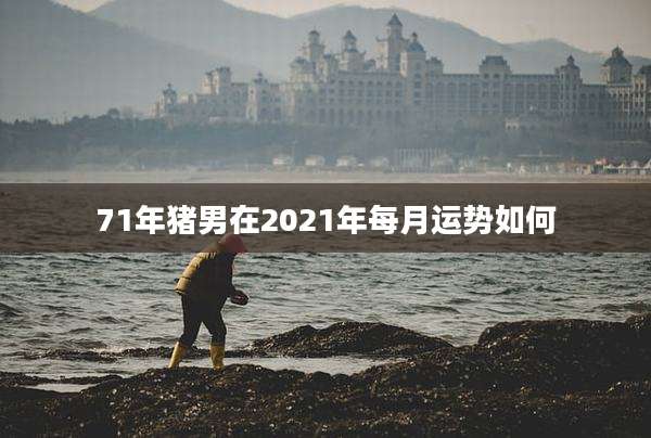 71年猪男在2021年每月运势如何