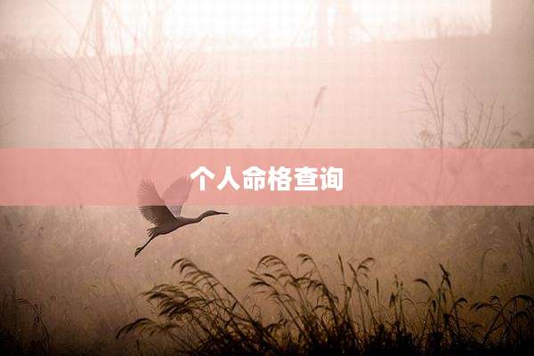 个人命格查询