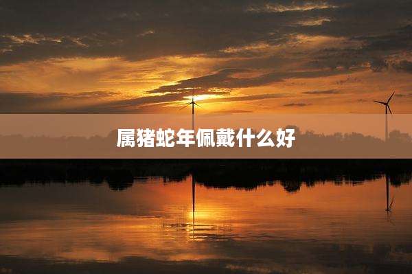 属猪蛇年佩戴什么好