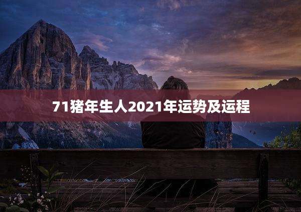 71猪年生人2021年运势及运程