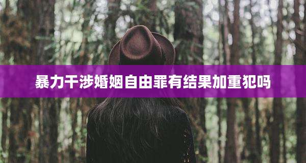 暴力干涉婚姻自由罪有结果加重犯吗