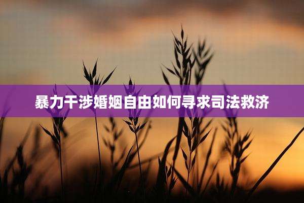 暴力干涉婚姻自由如何寻求司法救济