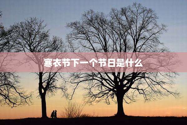 寒衣节下一个节日是什么