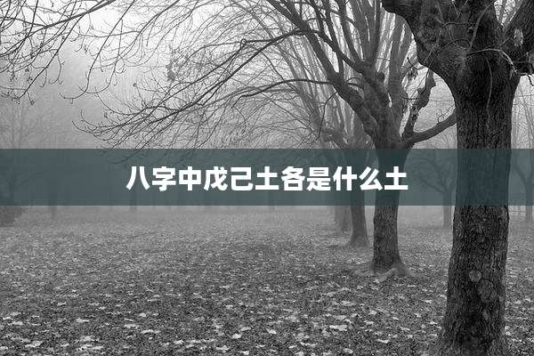 八字中戊己土各是什么土