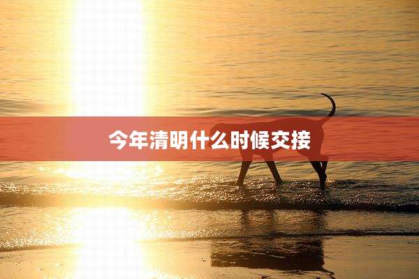 今年清明什么时候交接