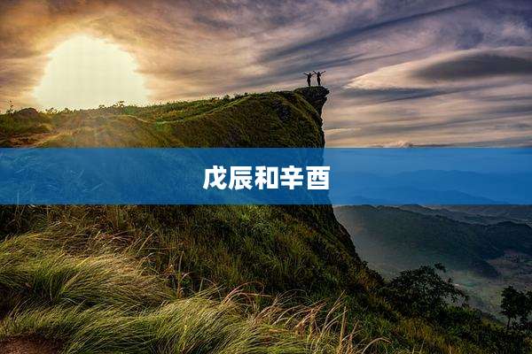 戊辰和辛酉