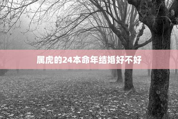 属虎的24本命年结婚好不好