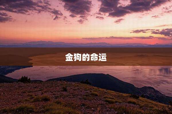 金狗的命运