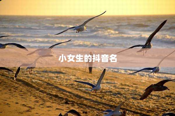 小女生的抖音名