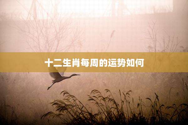 十二生肖每周的运势如何