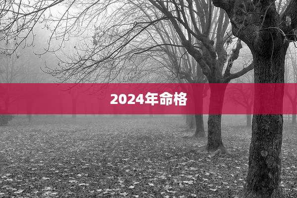 2024年命格