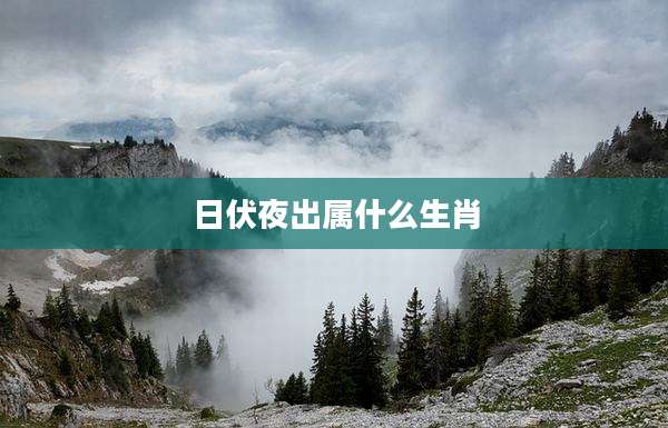 日伏夜出属什么生肖