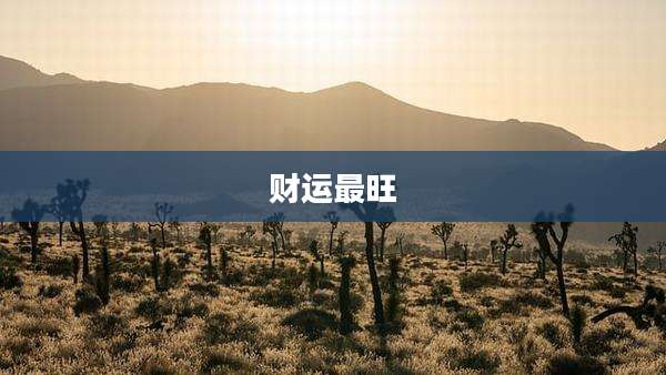 财运最旺