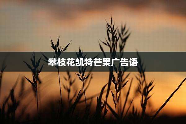 攀枝花凯特芒果广告语