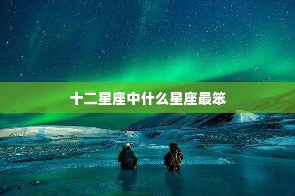 十二星座中什么星座最笨