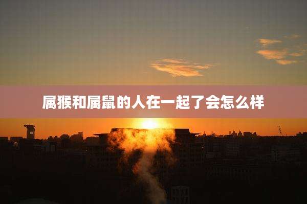 属猴和属鼠的人在一起了会怎么样
