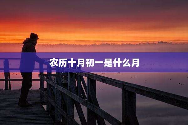 农历十月初一是什么月