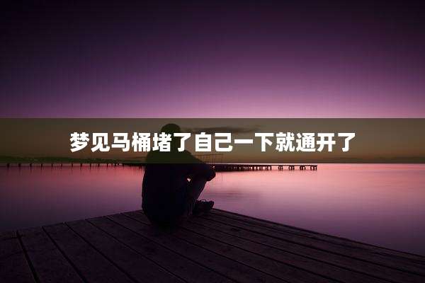 梦见马桶堵了自己一下就通开了