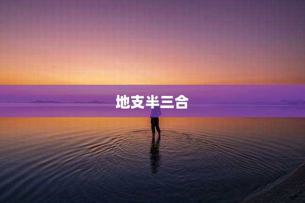 地支半三合