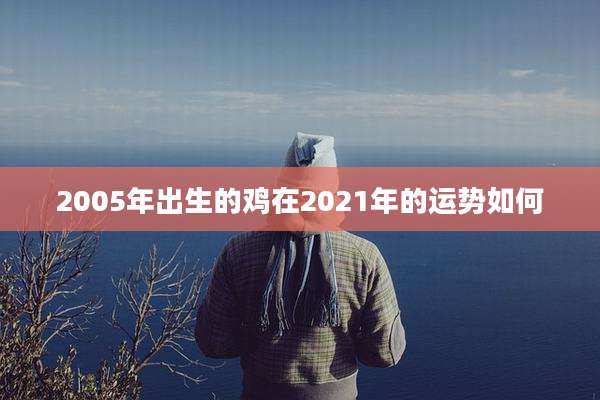 2005年出生的鸡在2021年的运势如何