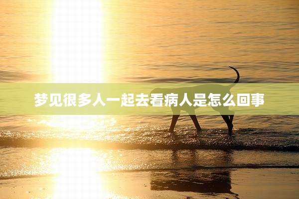 梦见很多人一起去看病人是怎么回事
