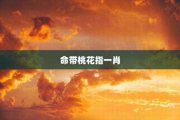 命带桃花指一肖