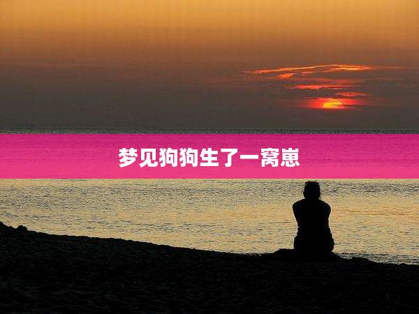 梦见狗狗生了一窝崽