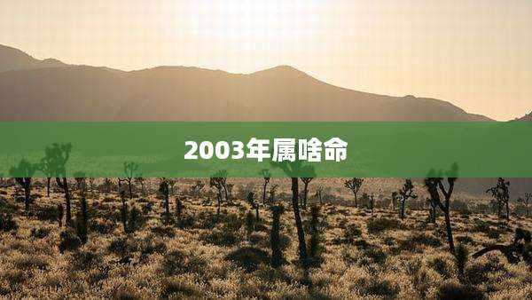 2003年属啥命