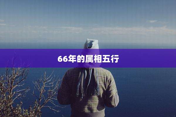 66年的属相五行