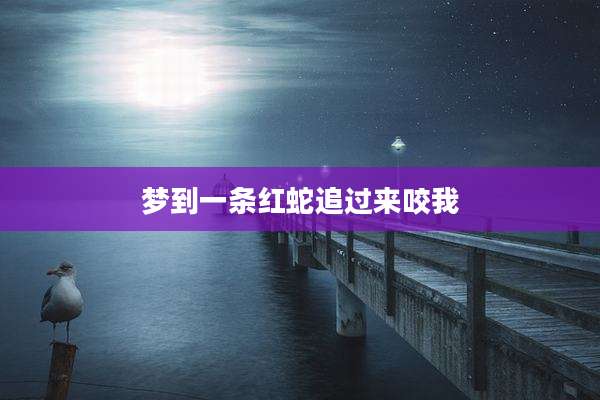 梦到一条红蛇追过来咬我