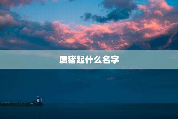 属猪起什么名字