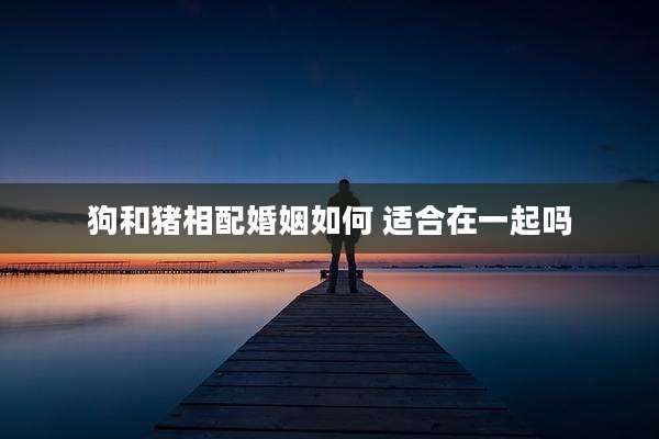 狗和猪相配婚姻如何 适合在一起吗