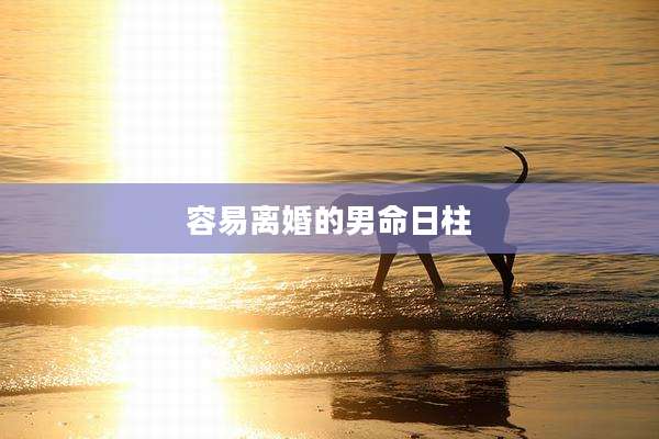 容易离婚的男命日柱