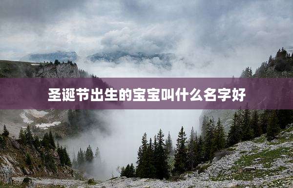 圣诞节出生的宝宝叫什么名字好