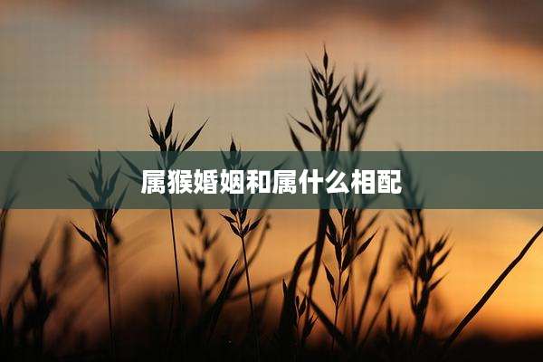 属猴婚姻和属什么相配