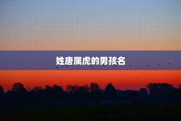姓唐属虎的男孩名