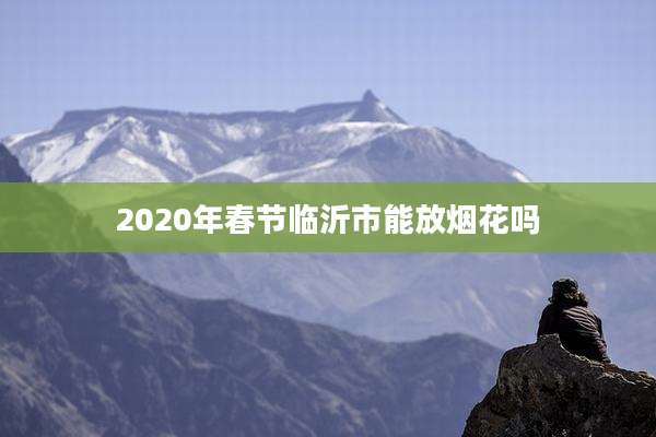 2020年春节临沂市能放烟花吗