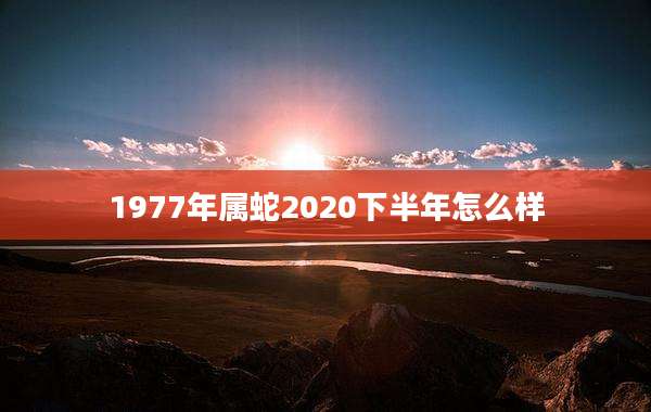 1977年属蛇2020下半年怎么样