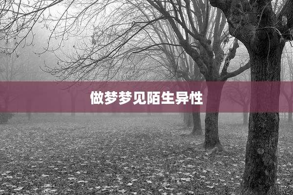 做梦梦见陌生异性